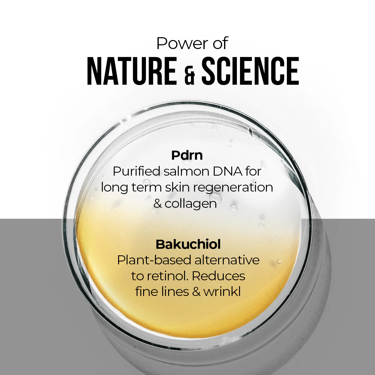 Bakuchiol & Pdrn Ampoule Serum - 30ml - Image 11