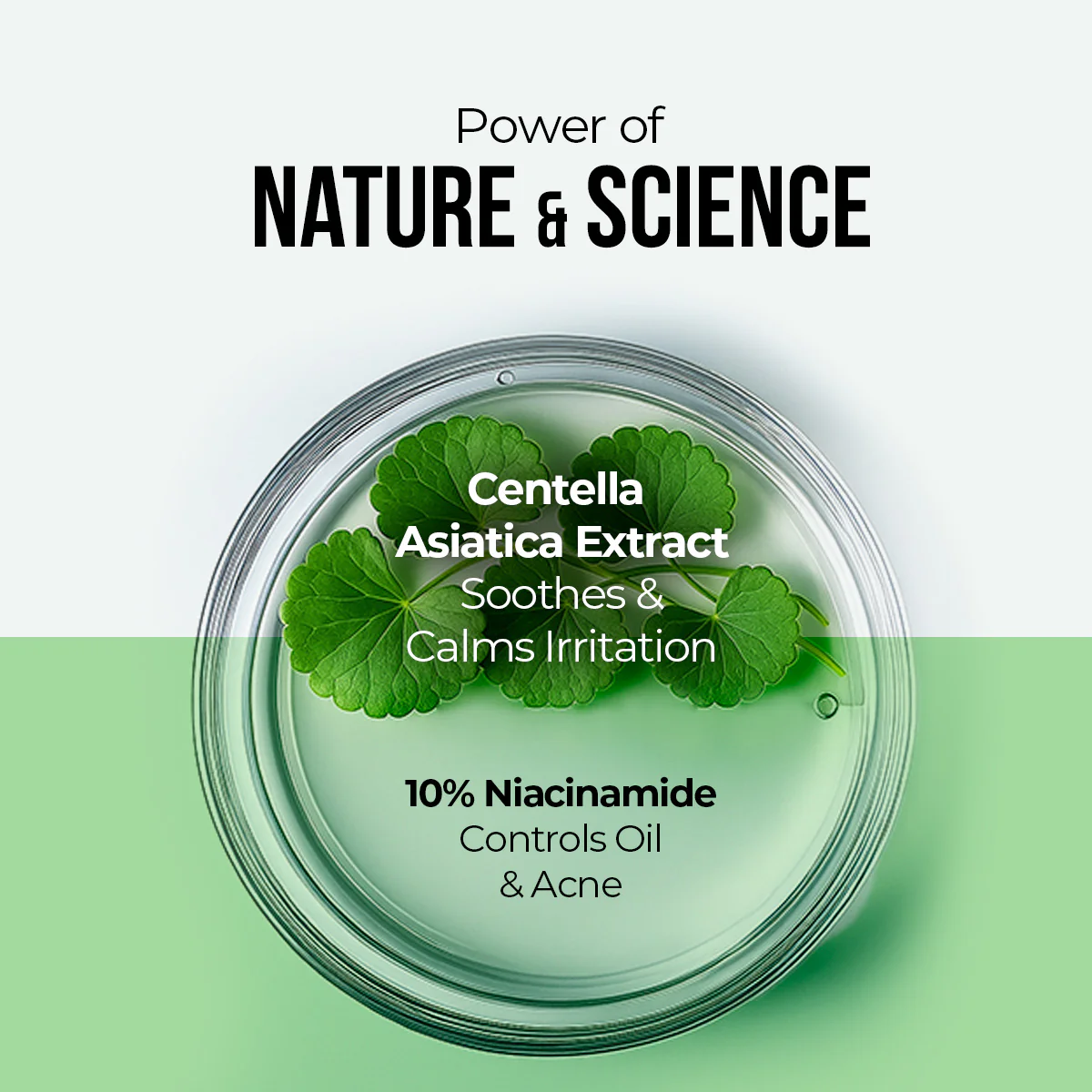 Centella & 10% Niacinamide Ampoule Serum - 30ml - Image 3