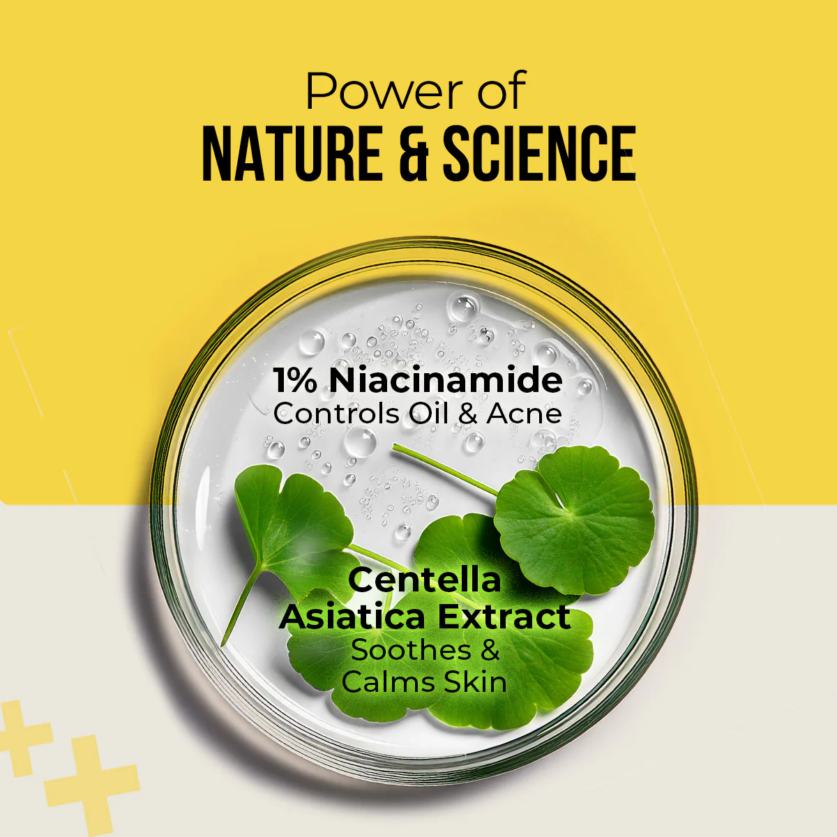 Centella & Niacinamide Oil & Acne Control Sunscreen - 50g - Image 4