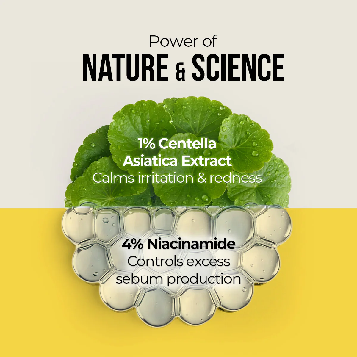 Centella & Niacinamide Oil-Free Matte Sunscreen - 50g - Image 8