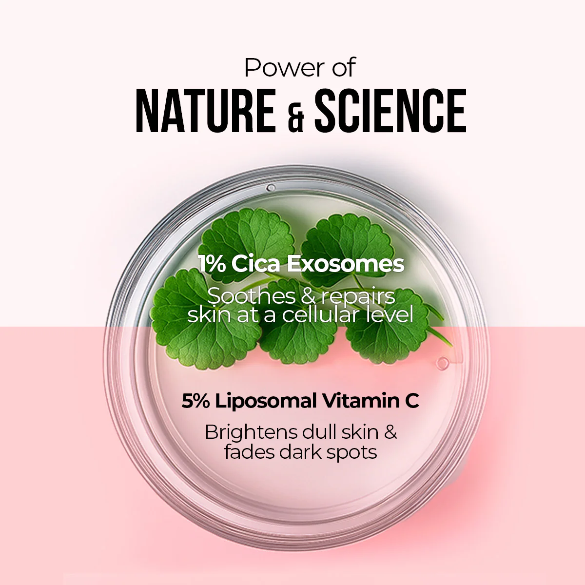 Cica Exosomes & Vitamin C Glow Serum - 30ml - Image 9